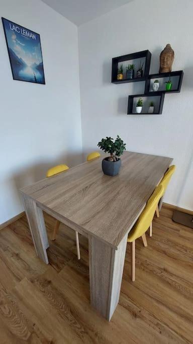 Appart Cosy Avec Vue Sur Le Lac Leman إفيان ليه با المظهر الخارجي الصورة