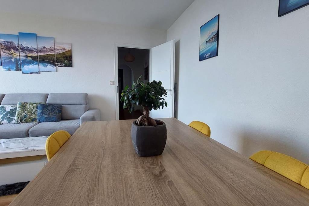 Appart Cosy Avec Vue Sur Le Lac Leman إفيان ليه با المظهر الخارجي الصورة