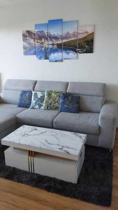 Appart Cosy Avec Vue Sur Le Lac Leman إفيان ليه با المظهر الخارجي الصورة