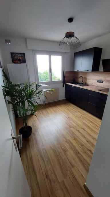 Appart Cosy Avec Vue Sur Le Lac Leman إفيان ليه با المظهر الخارجي الصورة